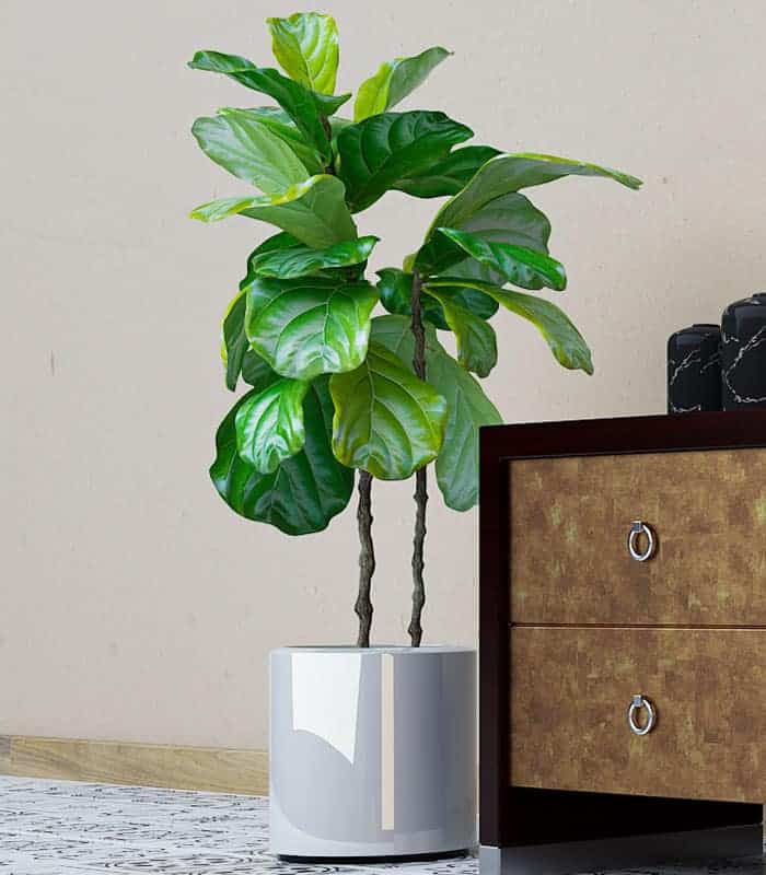 NICE CERAMIC CO., LTD