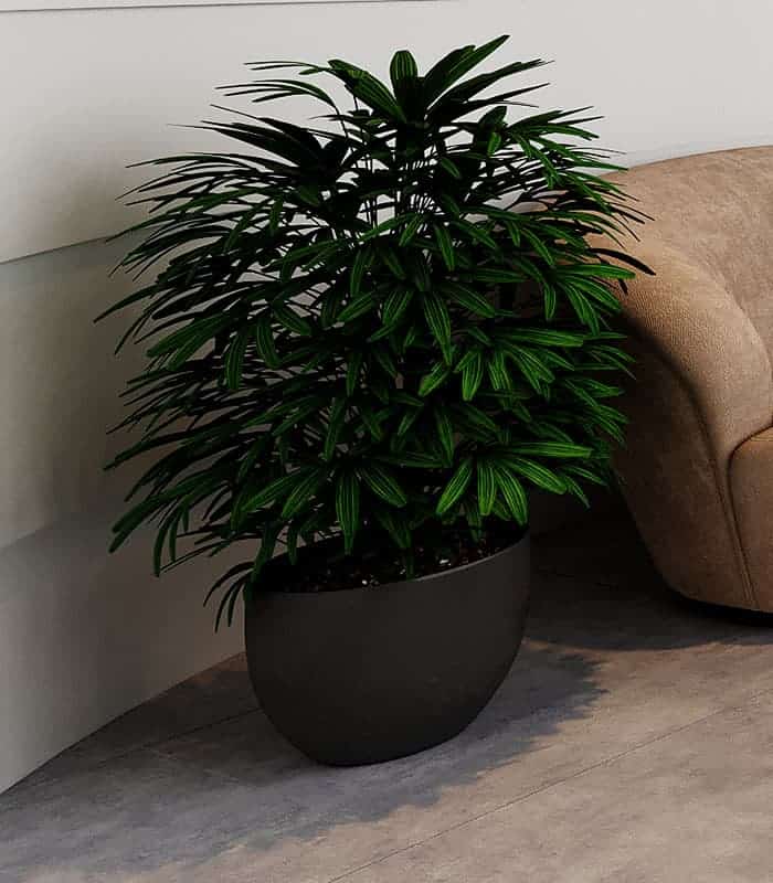 NICE CERAMIC CO., LTD